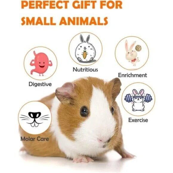 Hamster, Guinea Pig Toys Accessories Natural Chews for Teeth Rabbit Bunny Rat - Picture 4 of 7